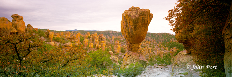 Unique rock formations in Chiricahua National Park